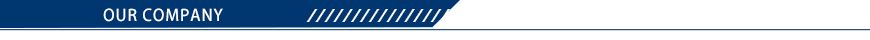 Our Company